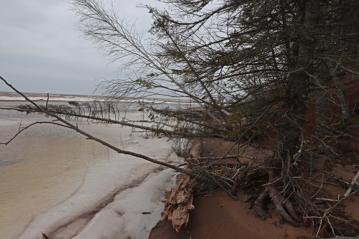 Lake Superior beach